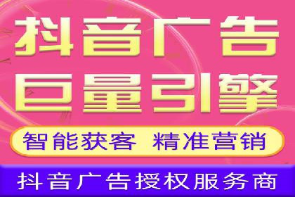 网络推广与竞价策略实战案例